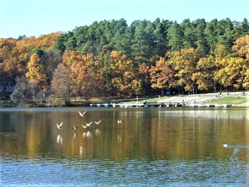 Apartament Giulio Сибиу Экстерьер фото