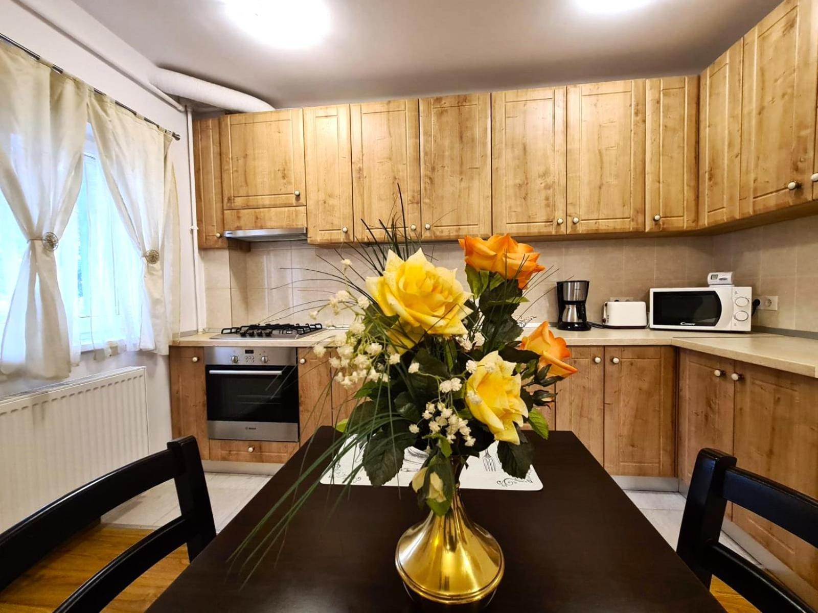 Apartament Giulio Сибиу Экстерьер фото